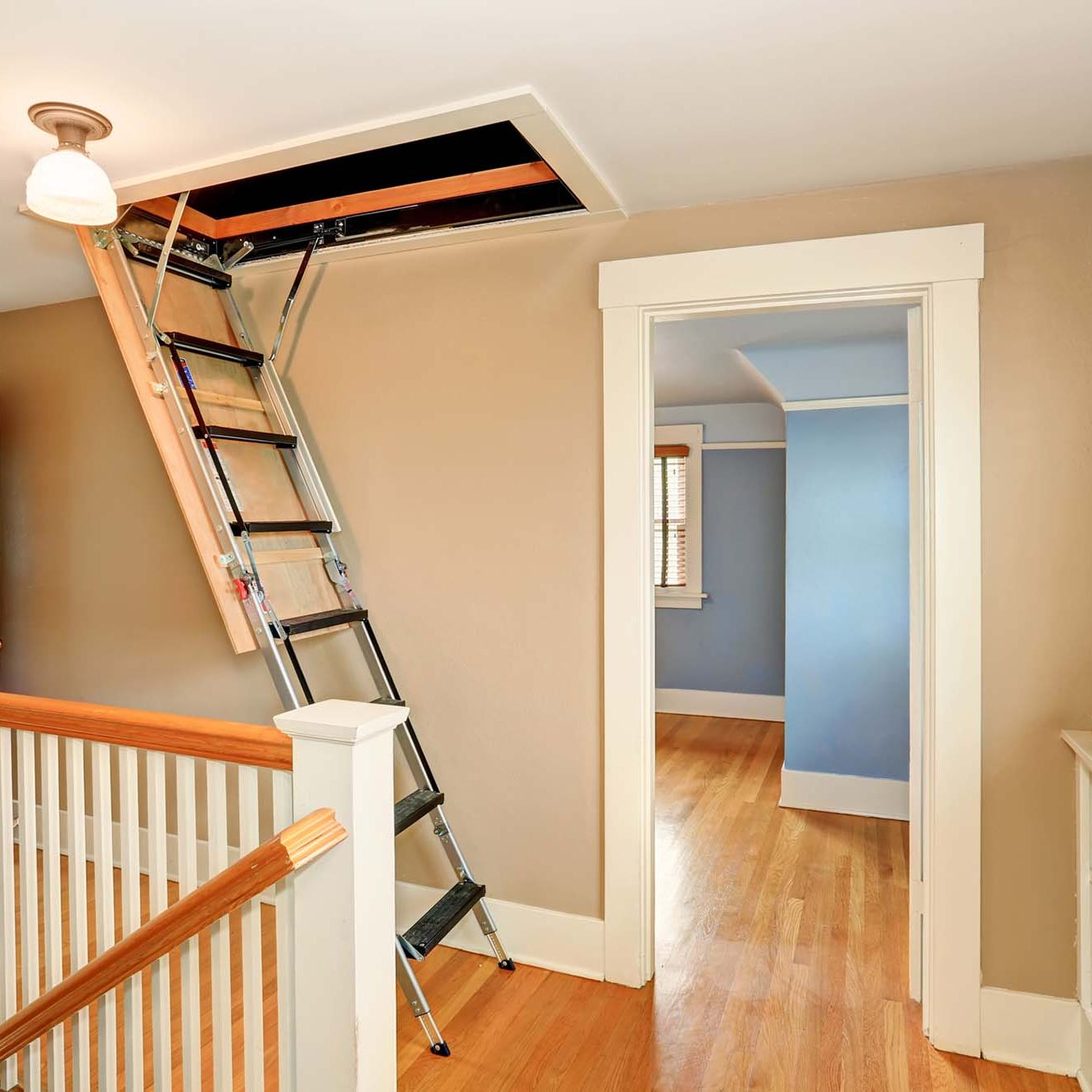 Hallway interior with folding attic ladder. Northwest, USA